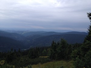 IMG_2041