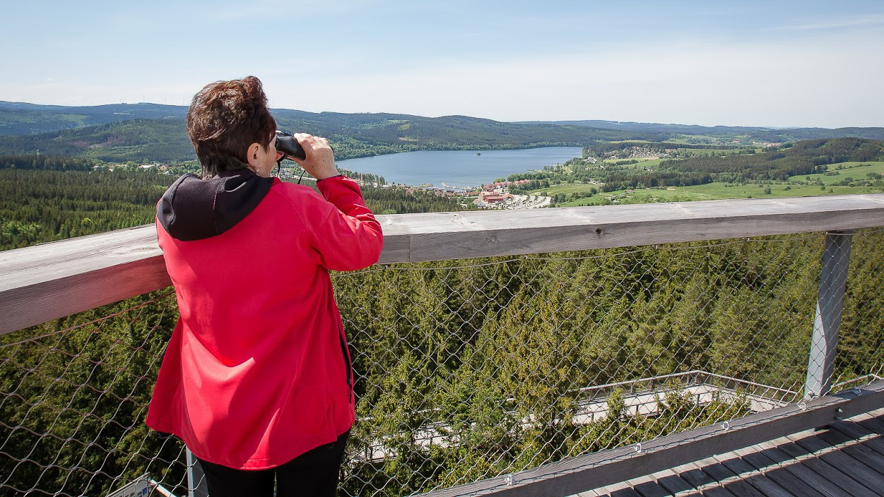 Šumava