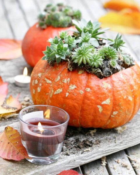 dýně halloween