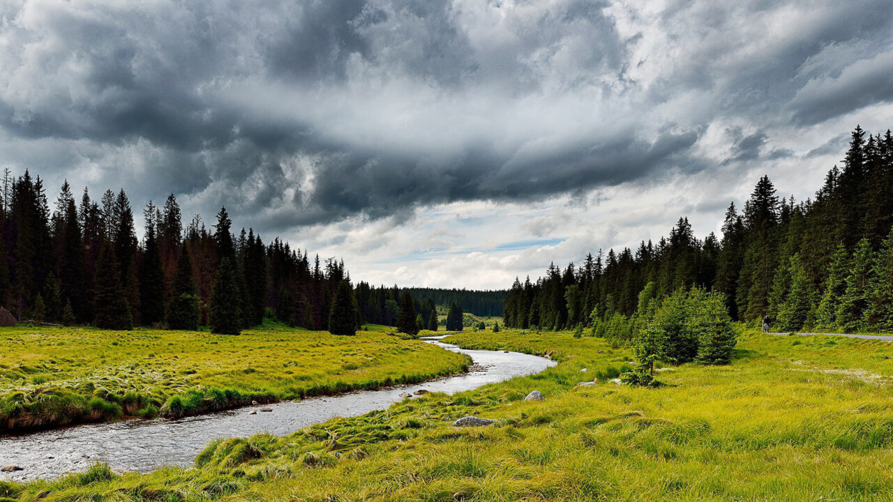 Šumava