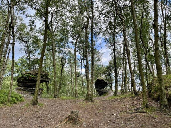 tiské stěny, ostrovské a rájecké skály, českosaské švýcarsko, stezka českem, hřebenovka českým švýcarskem