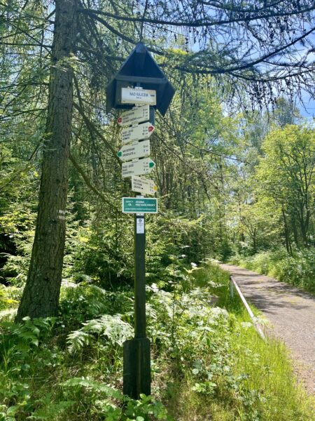 tiské stěny, ostrovské a rájecké skály, českosaské švýcarsko, stezka českem, hřebenovka českým švýcarskem
